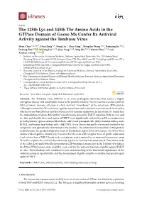 The 125Th Lys and 145Th Thr Amino Acids in the Gtpase Domain of Goose Mx Confer Its Antiviral Activity Against the Tembusu Virus