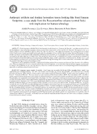 Anthropic Artifacts and Donkey Horseshoe Traces Looking Like Fossil Human Footprints