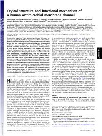 Crystal Structure and Functional Mechanism of a Human Antimicrobial Membrane Channel