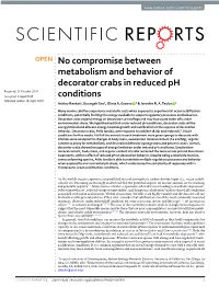 No Compromise Between Metabolism and Behavior of Decorator Crabs In