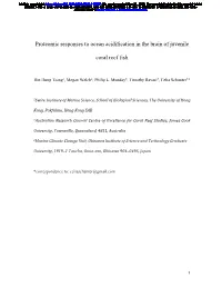 Proteomic Responses to Ocean Acidification in the Brain of Juvenile