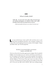 What Is Public Debt?