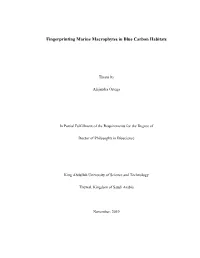 Fingerprinting Marine Macrophytes in Blue Carbon Habitats