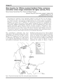 New Locality for White-Masked Antbird Pithys Castaneus and Other Avian Range Extensions for Dpto