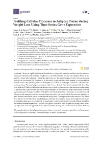 Profiling Cellular Processes in Adipose Tissue During Weight Loss Using Time Series Gene Expression
