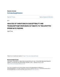 Analysis of Variations in Susceptibility and Transcriptome Responses in Tomato to Two-Spotted Spider Mite Feeding