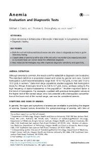 Anemia Evaluation and Diagnostic Tests