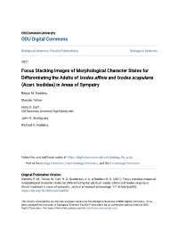 Focus Stacking Images of Morphological Character States for Differentiating the Adults of Ixodes Affinis and Ixodes Scapularis (Acari: Ixodidae) in Areas of Sympatry