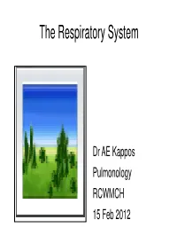 The Respiratory System