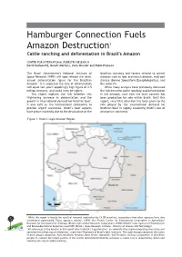 Cattle Ranching and Deforestation in Brazil's Amazon
