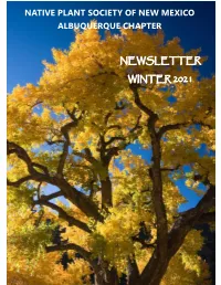 2021 January-March Newsletter