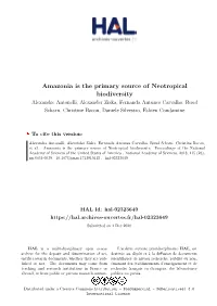 Amazonia Is the Primary Source of Neotropical Biodiversity