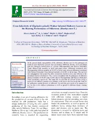 Cross Infectivity of Glyphodes Pyloalis Walker Infested Mulberry Leaves on the Rearing Performance of Silkworm, (Bombyx Mori L.)