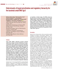 Determinants of Target Prioritization and Regulatory Hierarchy for the Bacterial Small RNA Sgrs
