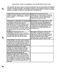 Taxonomic Notes on Nemertea Collected from Point Loma