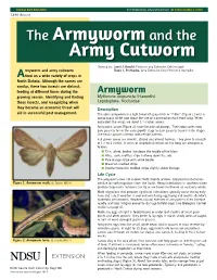 The Armyworm and the Army Cutworm