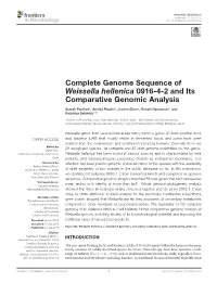 Complete Genome Sequence of Weissella Hellenica 0916-4-2 and Its Comparative Genomic Analysis