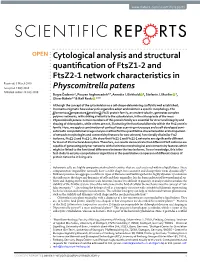Cytological Analysis and Structural Quantification of Ftsz1-2 and Ftsz2