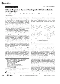 Efficient Replication Bypass of Size-Expanded DNA Base Pairs in Bacterial Cells** James C