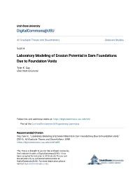 Laboratory Modeling of Erosion Potential in Dam Foundations Due to Foundation Voids