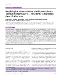 Morphological Characterization of Wild Populations of Solanum Lycopersicum Var