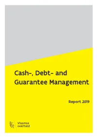 Pdf Bestanddebt Report 2019 .Pdf