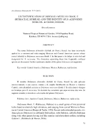 Lectotypification of Didymaea Mexicana Hook