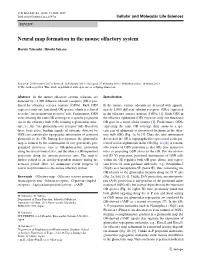 Neural Map Formation in the Mouse Olfactory System