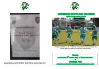Groundsman of the Year: Mike Prisk, Mousehole Afc