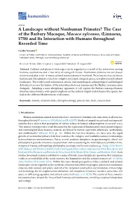 The Case of the Barbary Macaque, Macaca Sylvanus, (Linnaeus, 1758) and Its Interaction with Humans Throughout Recorded Time