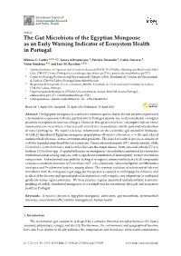 The Gut Microbiota of the Egyptian Mongoose As an Early Warning Indicator of Ecosystem Health in Portugal