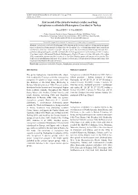 First Record of the Invasive Western Conifer Seed Bug Leptoglossus Occidentalis (Heteroptera: Coreidae) in Turkey