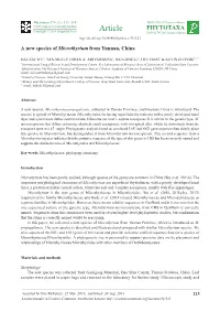Pdf/A (971.66