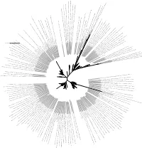 Tree Scale: 1 D Bacteria P Desulfobacterota C Jdfr-97 O Jdfr-97 F Jdfr-97 G Jdfr-97 S Jdfr-97 Sp002010915 WGS ID MTPG01