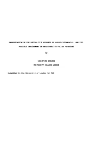 Investigation of the Phytoalexin Response of Arachis Hypogaea L