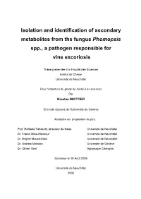 Isolation and Identification of Secondary Metabolites from the Fungus Phomopsis Spp., a Pathogen Responsible for Vine Excoriosis