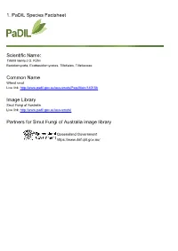 1. Padil Species Factsheet Scientific Name: Common Name Image