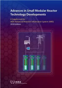 Advances in Small Modular Reactor Technology Developments