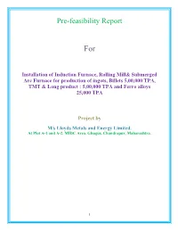 Pre-Feasibility Report
