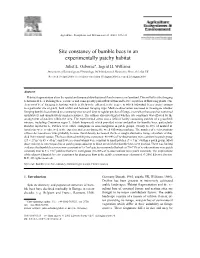 Site Constancy of Bumble Bees in an Experimentally Patchy Habitat Juliet L