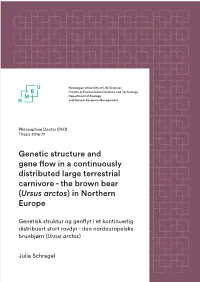 Genetic Structure and Gene Flow in a Continuously Distributed Large Terrestrial Carnivore - the Brown Bear (Ursus Arctos) in Northern Europe