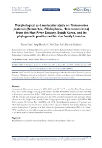 Morphological and Molecular Study on Yininemertes Pratensis