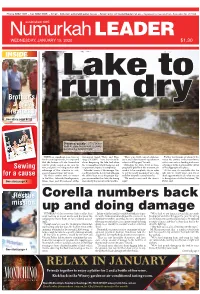 Corella Numbers Back up and Doing Damage from Page 1
