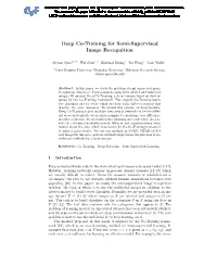 Deep Co-Training for Semi-Supervised Image Recognition