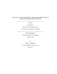 Evolution and Development of the Paired