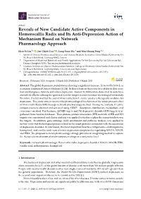 Reveals of New Candidate Active Components in Hemerocallis Radix and Its Anti-Depression Action of Mechanism Based on Network Pharmacology Approach