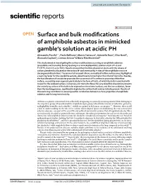 Surface and Bulk Modifications of Amphibole Asbestos in Mimicked