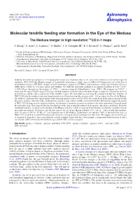 The Medusa Merger in High Resolution 12CO 2–1 Maps
