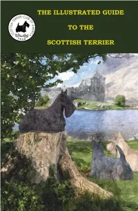 Key Elements of Scottish Terrier Type