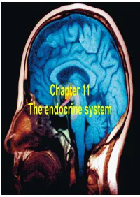 Chapter 11 the Endocrine System Neurotransmitter from a Nerve Cell
